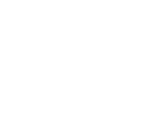 logo-carbarnhorgen